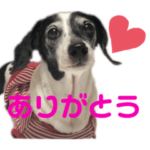 ぽっきーちゃん