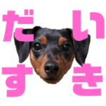 チワピン★毎日使えるポッキー