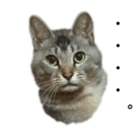 ポッキーの日常2