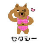 ちわわのポッキーの夏