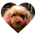 マフィンとポッキー