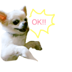 ポッキーくん。