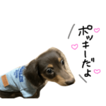 ポッキーすたんぷ