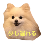 ポッキーちゃん