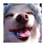 ポッキーとルカ