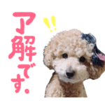 ポッキースタンプ！パート2