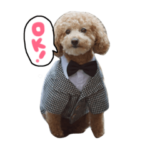 ポッキースタンプ！