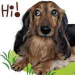 ダックス犬の日常スタンプ 英語版