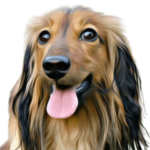 ダックス犬の日常スタンプ その1