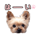 ポッキーくんのスタンプ★