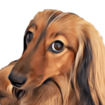 ダックス犬の日常スタンプ