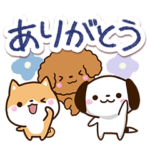 わちゃわちゃドッグ