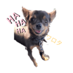 ポッキーくんだよー