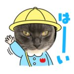 猫のキンメちゃん&トロくん#2