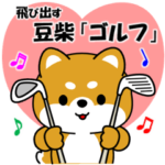 飛び出す豆柴「ゴルフ編」