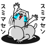 全力ねこ哀愁編