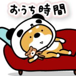 柴犬パンダのおうち時間