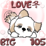 シーズー犬 105『恋人に』