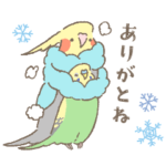 とりちゃんたちの冬