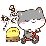 毎日使える☆くろまめシバ