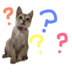 シンガプーラスタンプ