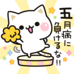 気づかいのできるネコ♪ポジティブ編