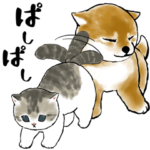 動く！しば×にゃん