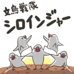 文鳥戦隊シロインジャー！