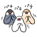 文鳥スタンプ 8