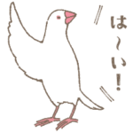 フィンチさんの日常会話