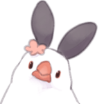 ていねいな毎日文鳥