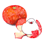 暮らしと文鳥。