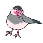 文鳥 CRAZY MONSTER STYLE