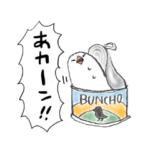 ダジャレと文鳥さん3