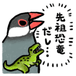 気が強い文鳥さん