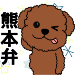 熊本弁☆トイプーのモグ