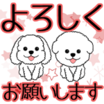 白トイプーのでか文字敬語スタンプ