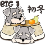 シュナウザー 1 『寒い季節に』