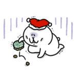 にゃっちーずの年末年始2