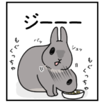 もしも、うさぎと一緒なら　第1弾