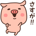 褒め上手なブタさん