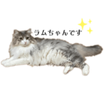 ラムちゃんスタンプ₍⸍⸌̣ʷ̣̫⸍̣⸌₎2