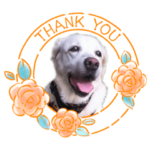 レトリーバーのお友達Part5