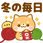豆柴日和♡冬の毎日