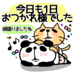 ぶさかわにゃんこ&ぱんだ①
