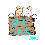 るーさんちのネコ