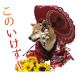 ミッキーちゃん