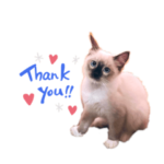 ラルぴぃ親バカスタンプ