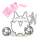 猫ぽんサッカー