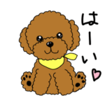 愛らしいトイプードルスタンプ